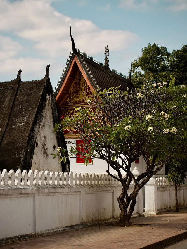 Peace & Poolside in Luang Prabang