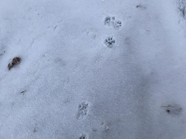 야간 산행 지리산