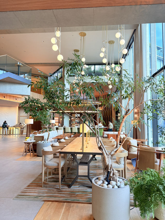静岡　磐田　Greenity磐田でランチ