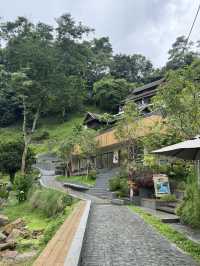 คาเฟ่เชียงใหม่ที่ไม่ควรพลาดต้องที่นี่ WTF Cafe ⛰️