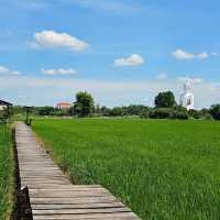 🍀นั่งชิล ชมทุ่งนา ที่ มะขามคาเฟ่ | อ่างทอง 🌿