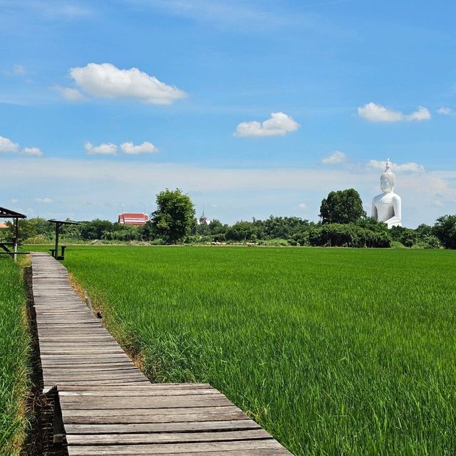 🍀นั่งชิล ชมทุ่งนา ที่ มะขามคาเฟ่ | อ่างทอง 🌿