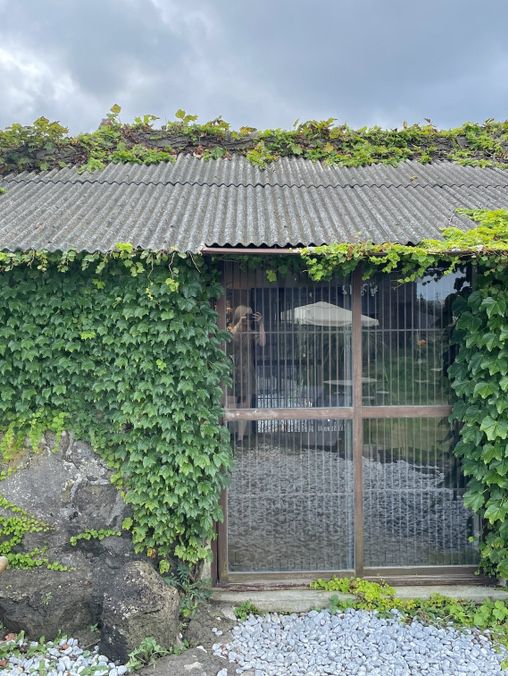 🌲 제주 숲 카페 후기 ☕