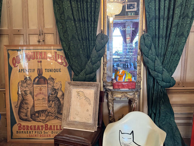 An Unconventional "Cat and Mouse" Tour in Amsterdam! 🐭🐱