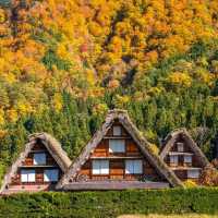 🏞️ 昔ながらの日本の風景に出会える、心癒される岐阜県