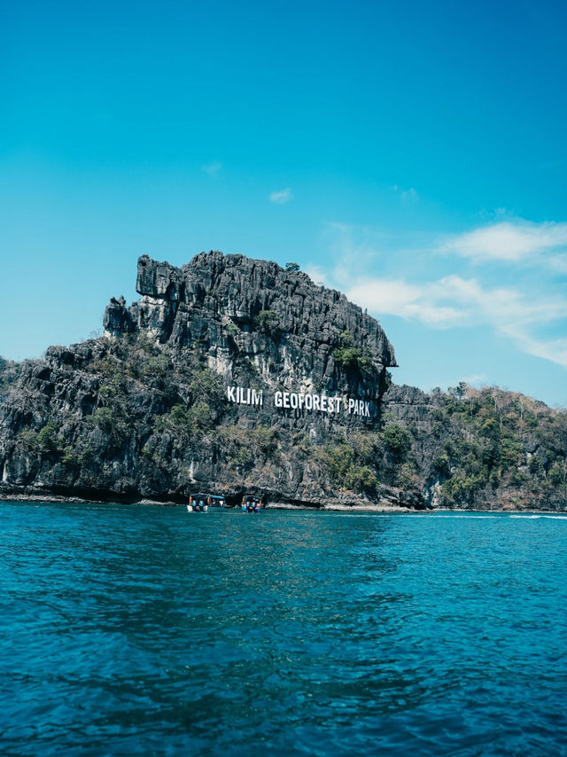 Langkawi Mangrove Tour – Nature, Eagles & Jungle Vibes! 🌿🦅