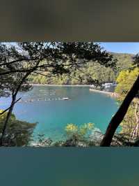 【波音とヤシの木に癒される🌺南張海浜公園で南国気分の休日】