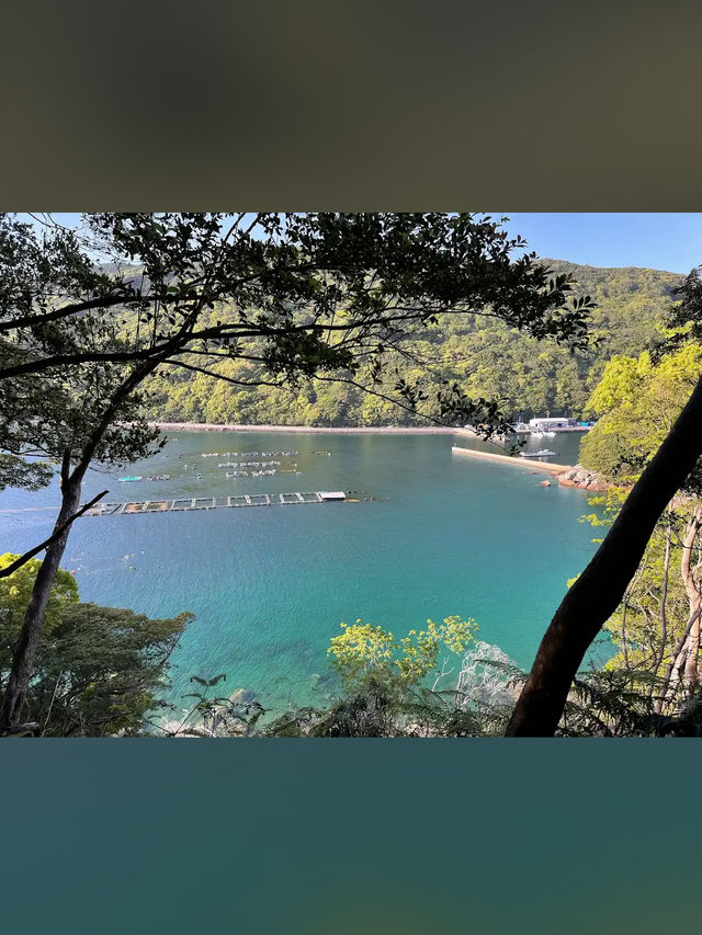 【波音とヤシの木に癒される🌺南張海浜公園で南国気分の休日】
