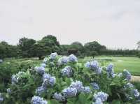 岡山後樂園