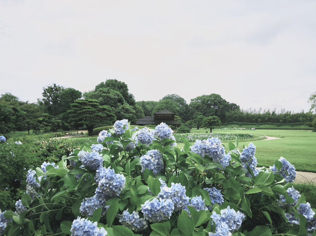 岡山後樂園