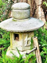 The Zen experience at the Teahouse, Japanese Gardens