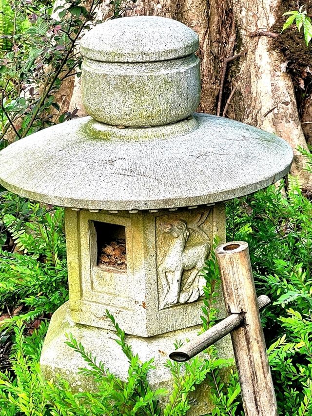 The Zen experience at the Teahouse, Japanese Gardens