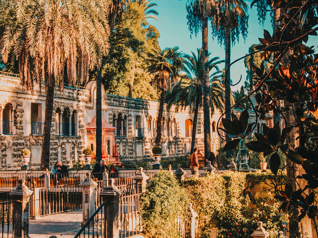 A Royal Stroll Through History – My Visit to Alcázar de Sevilla