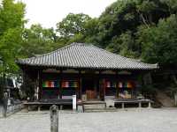 【圓満寺】恋愛成就のパワースポットで、願いを込める旅💌🌸