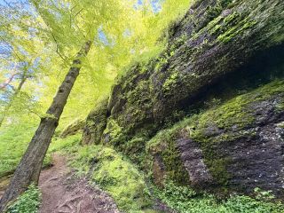 Dragon Gorge in Eisenach