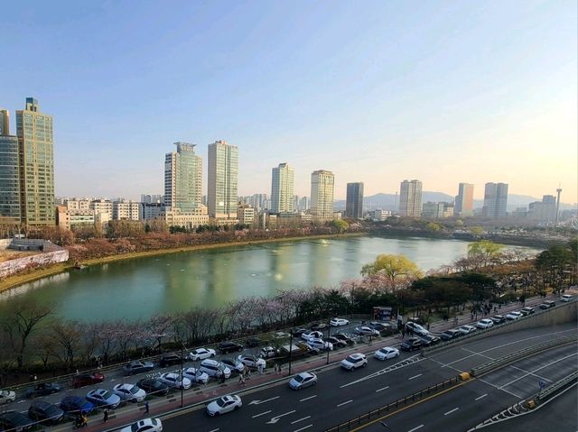 소피텔 앰배서더 서울 호텔 프레스티지스위트룸 호캉스