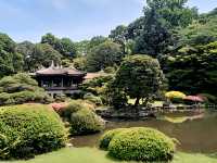 Shinjuku Gyoen