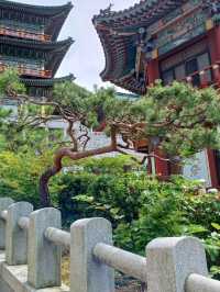 화려한 사찰 구경