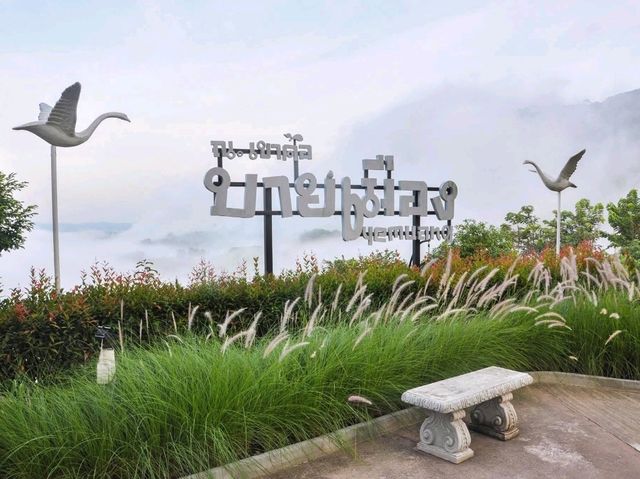 Byemuang at Khaokho - บายเมือง แอท เขาค้อ