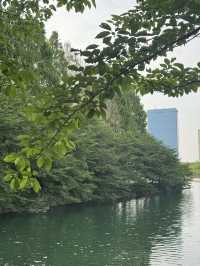 大阪城公園交通攻略｜探索名城必備指南