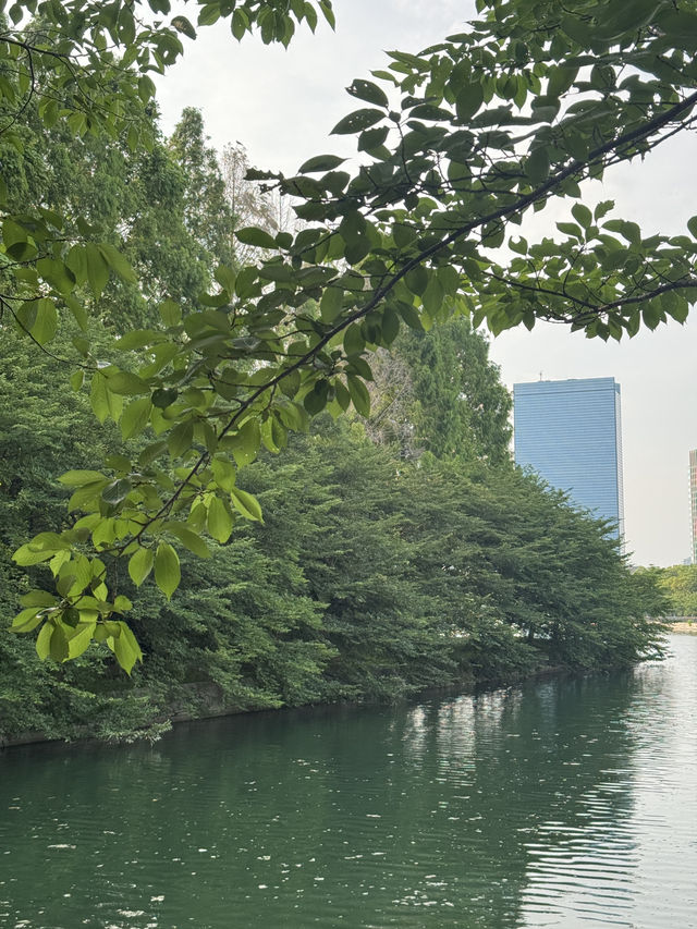 大阪城公園交通攻略｜探索名城必備指南