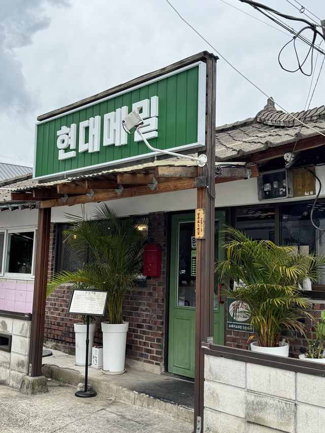 🥢 현대메밀, 춘천에서 만나는 새로운 메밀의 맛