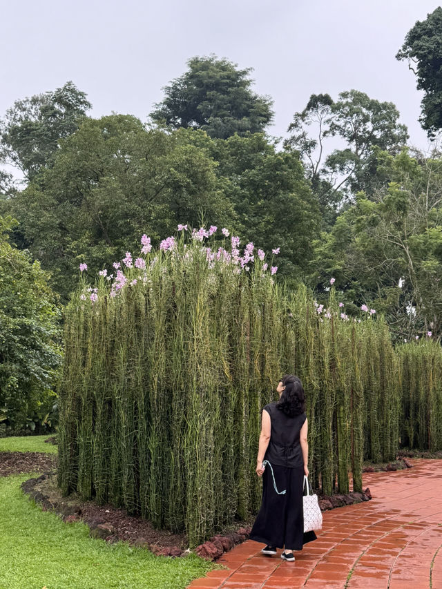 싱가포르 & 바탐 3박 5일 일정 공유 🇸🇬🇮🇩