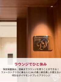 JAL国内線ファーストクラス✈️✨