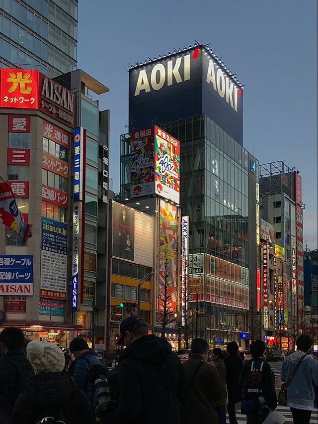 도쿄, 일본 