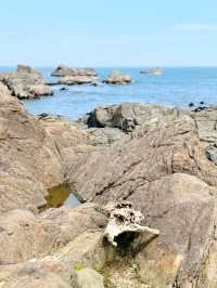 Ocean & Meadows Unbound: A Summer Walk Along Tanesashi Coast