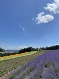 富田農場