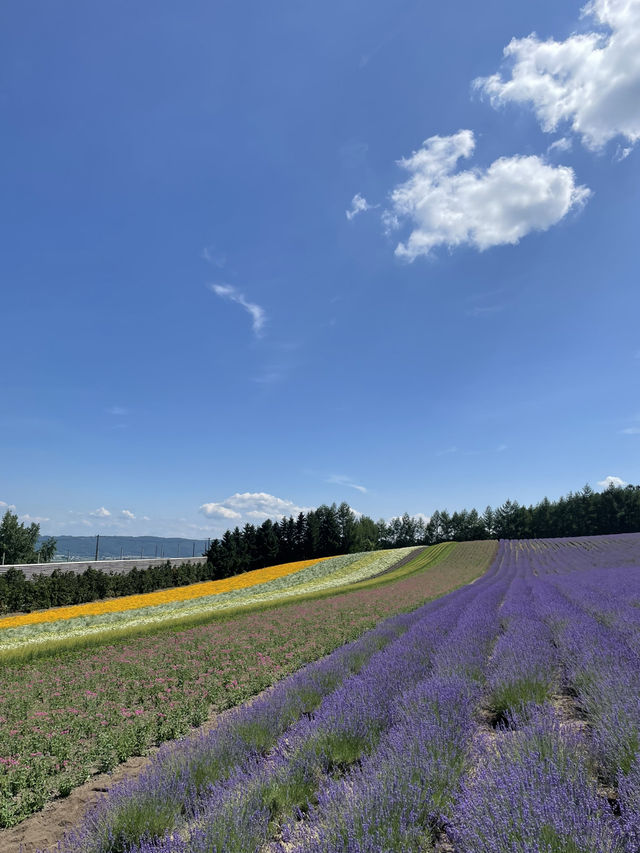 富田農場