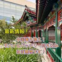 【北京】中国乗り換えでモバイルバッテリー全部没収されました！！✈️