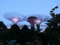 Gardens by the Bay.