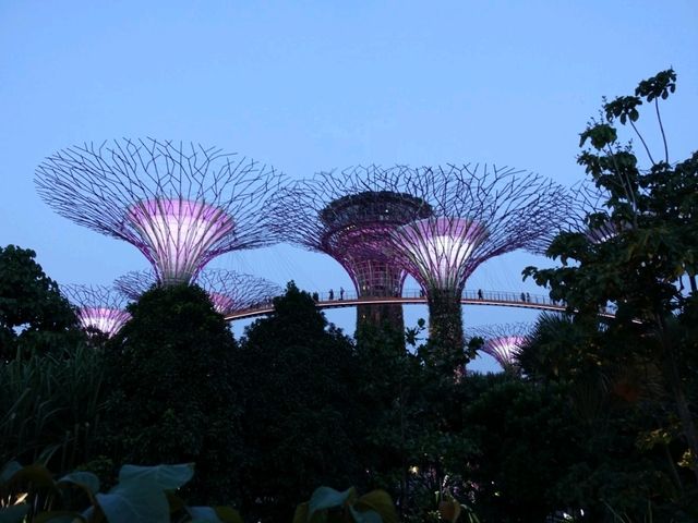 Gardens by the Bay.