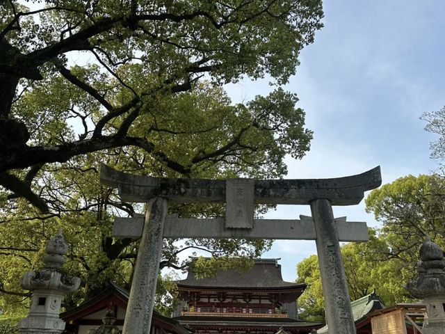 Evening Stroll at Dazaifu Tenmangu: A Peaceful Visit! ⛩️🌸
