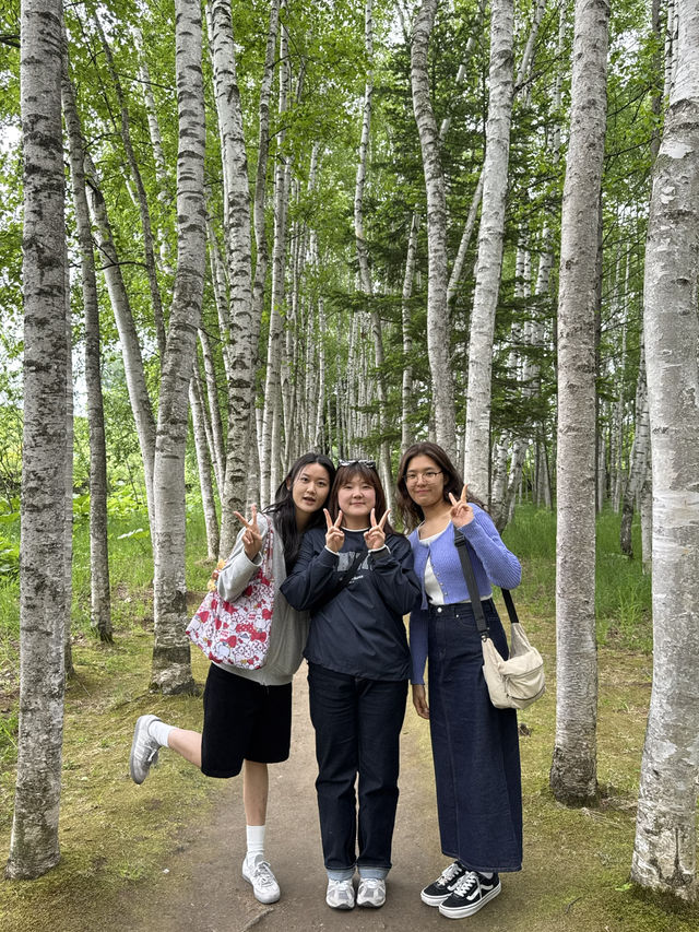 여름에 가기 좋은 일본 도시, 후라노 🇯🇵
