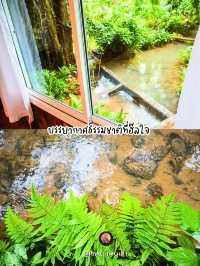 เฌอโคว at หม่องกะลา