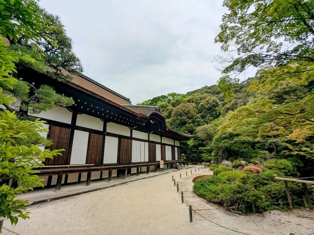 京都 | 方丈庭園，知恩院面向北條的名勝庭園