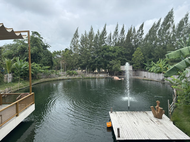 📸 คาฟ่ ร้านอาหาร ถ่ายรูปสวยๆ บัวเทอเรส ระยอง