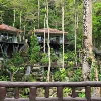 Living the Jungle Dream at Rock & Tree House Resort