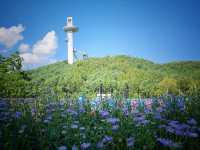 한마리의새가되어 평창스키전망대