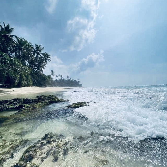 🌴 Solo Escape: Talpe Beach – Sri Lanka’s Secret Southern Gem