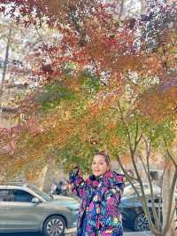 🌈….Anfu Road