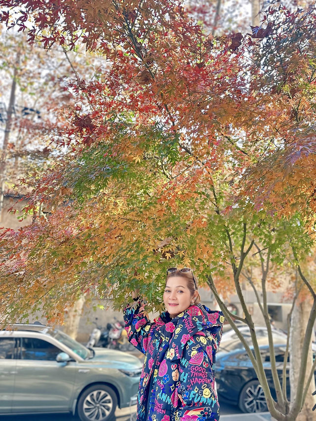 🌈….Anfu Road