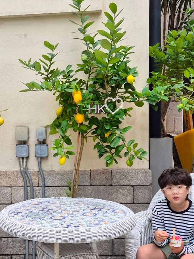 홍콩여행중 자연그대로의 이탈리아젤라또만나기