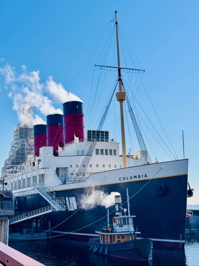 Beyond the Castle: Discover Tokyo DisneySea’s Hidden Wonders