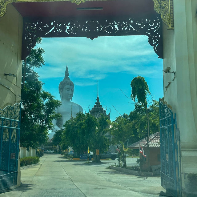 องค์ใหญ่ที่สุด🤩พระพุทธรูปที่นี่ วัดม่วง