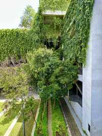 Urban Eden: Tamarind Square’s Concrete Jungle