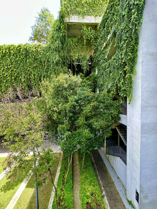 Urban Eden: Tamarind Square’s Concrete Jungle